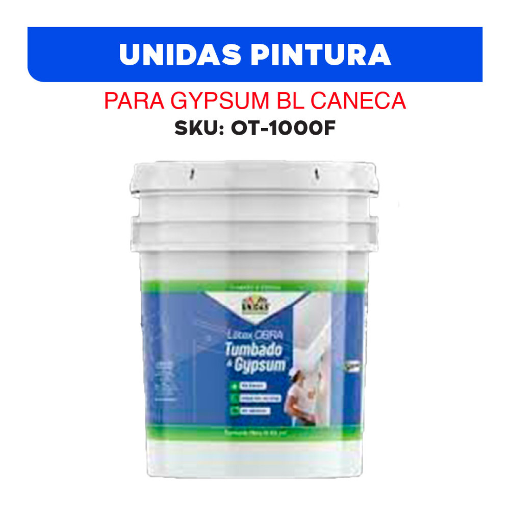 UNIDAS PINTURA PARA GYPSUM BL CANECA